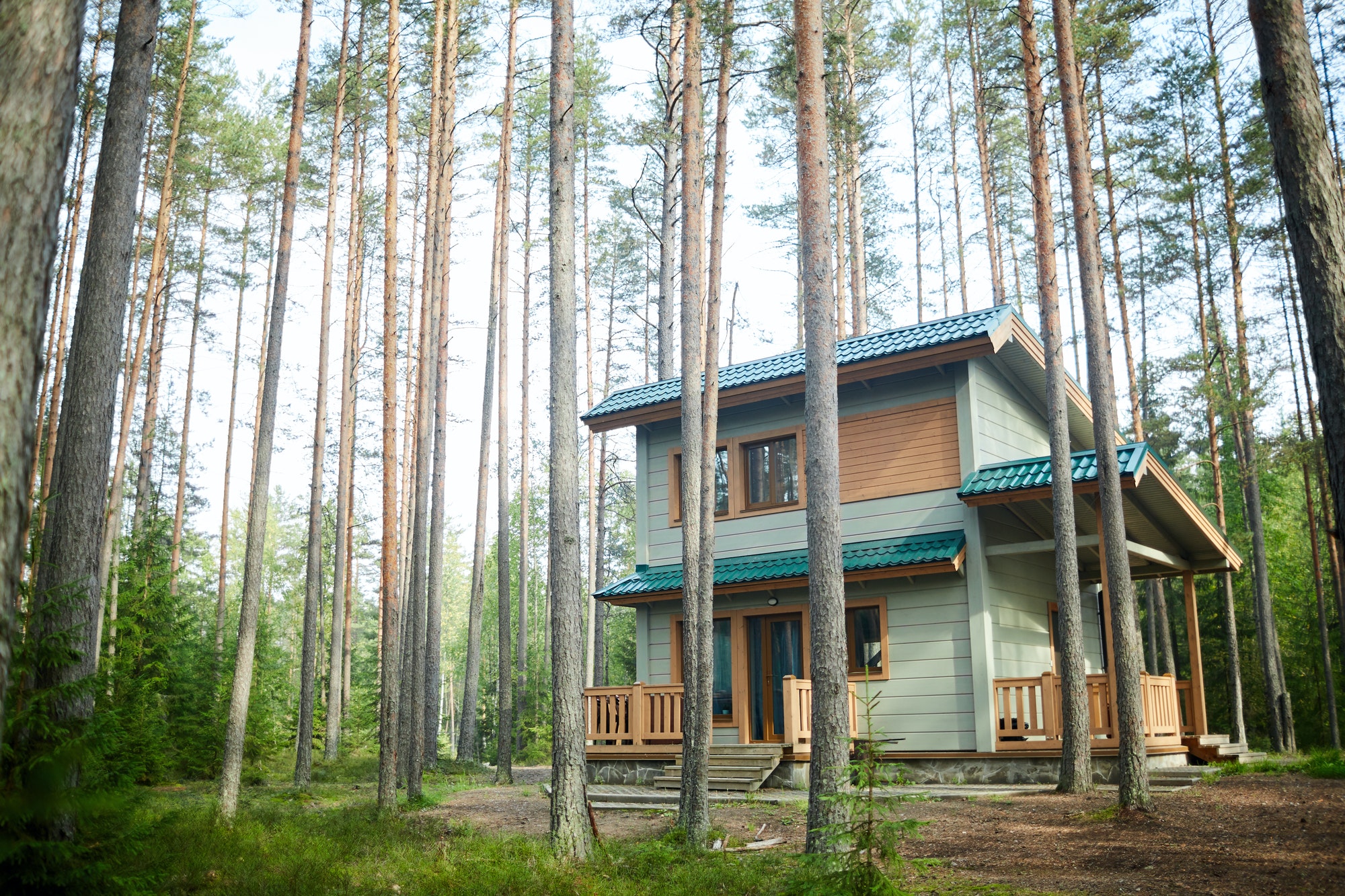 House in the forest